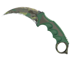 ★ StatTrak Karambit | Boreal Forest