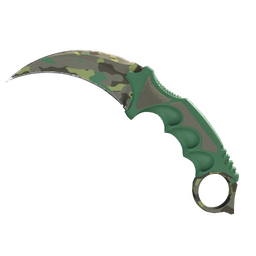 ★ StatTrak™ Karambit | Boreal Forest