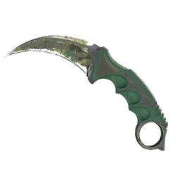 ★ Karambit | Boreal Forest