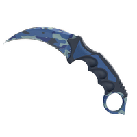 ★ StatTrak™ Karambit | Bright Water (Factory New)