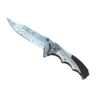 ★ StatTrak™ Nomad Knife | Damascus Steel (Well-Worn)