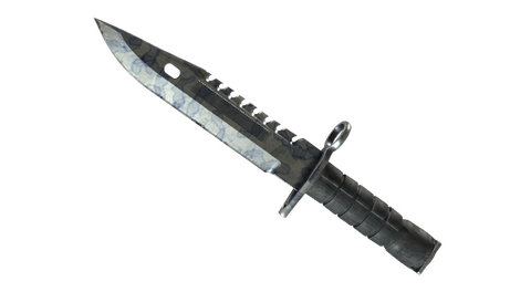 ★ M9 Bayonet | Stained (Well-Worn)