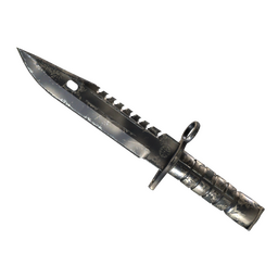★ M9 Bayonet | Scorched