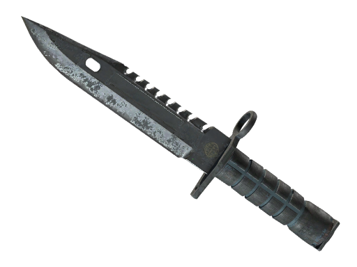 ★ M9 Bayonet | Night