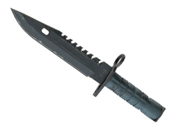 ★ M9 Bayonet | Night