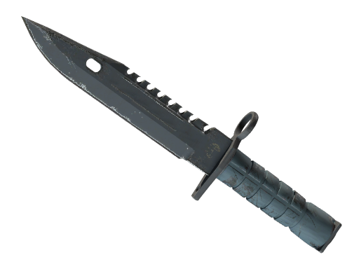 ★ M9 Bayonet | Night