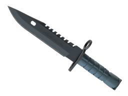 ★ M9 Bayonet | Night (Minimal Wear)