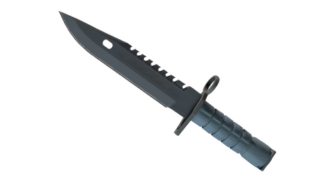 ★ M9 Bayonet | Night (Minimal Wear)