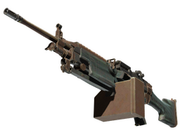 M249 | Submerged (Battle-Scarred)