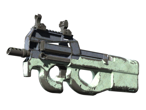 P90 | Storm (Gasto)