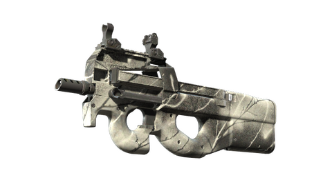 P90 | Ash Wood (Minimal Wear)