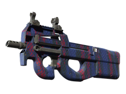 P90 | Teardown (Minimal Wear)