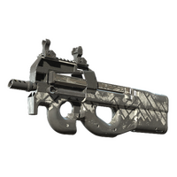 P90 | Aeolian Light (Battle-Scarred)