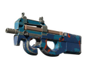 P90 | Blind Spot (Well-Worn)
