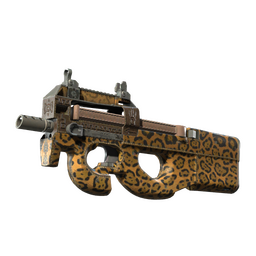 P90 | Run and Hide