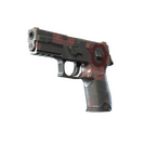 P250 | Constructivist (Field-Tested)