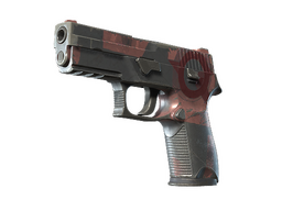 P250 | Constructivist (Field-Tested)