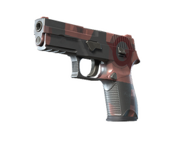 P250 | Constructivist