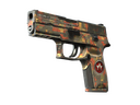 P250 | Red Rock (Battle-Scarred)
