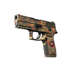 StatTrak™ P250 | Red Rock