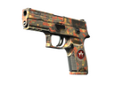 P250 | Red Rock (Well-Worn)