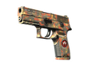 StatTrak™ P250 | Red Rock (Factory New)