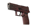 P250 | Contaminant (Field-Tested)