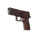 StatTrak™ P250 | Contaminant (Field-Tested)