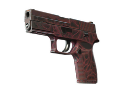 StatTrak™ P250 | Contaminant (Field-Tested)