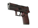 StatTrak™ P250 | Contaminant (Battle-Scarred)