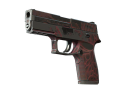 P250 | Contaminant (Battle-Scarred)