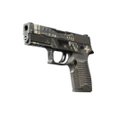 P250 | Re.built (Battle-Scarred)