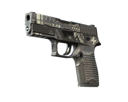 P250 | Re.built