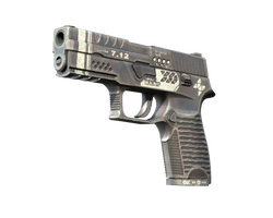P250 | Re.built