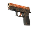 StatTrak™ P250 | Mehndi (Field-Tested)