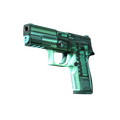 P250 | X-Ray