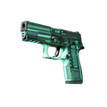 P250 | X-Ray