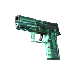 Souvenir P250 | X-Ray (Field-Tested)