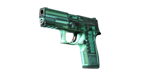 P250 | X-Ray (Field-Tested)