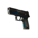 P250 | Valence (Battle-Scarred)