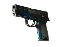 StatTrak™ P250 | Valence (Battle-Scarred)