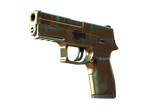 P250 | Verdigris (Factory New)