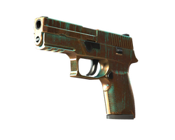 StatTrak P250 | Verdigris