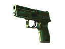 StatTrak™ P250 | Verdigris (Battle-Scarred)