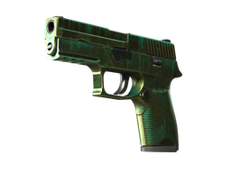 P250 | Verdigris (Battle-Scarred)
