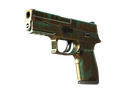 P250 | Verdigris (Well-Worn)