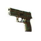 StatTrak™ P250 | Verdigris (Well-Worn)