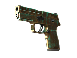 P250 | Verdigris (Field-Tested)