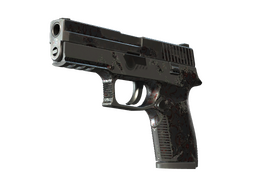 P250 | Dark Filigree (Battle-Scarred)