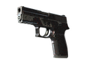 P250 | Dark Filigree (Well-Worn)